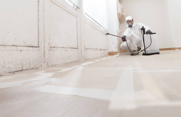 24/7 Emergency Basement Mold Remediation experts in Weston, FL